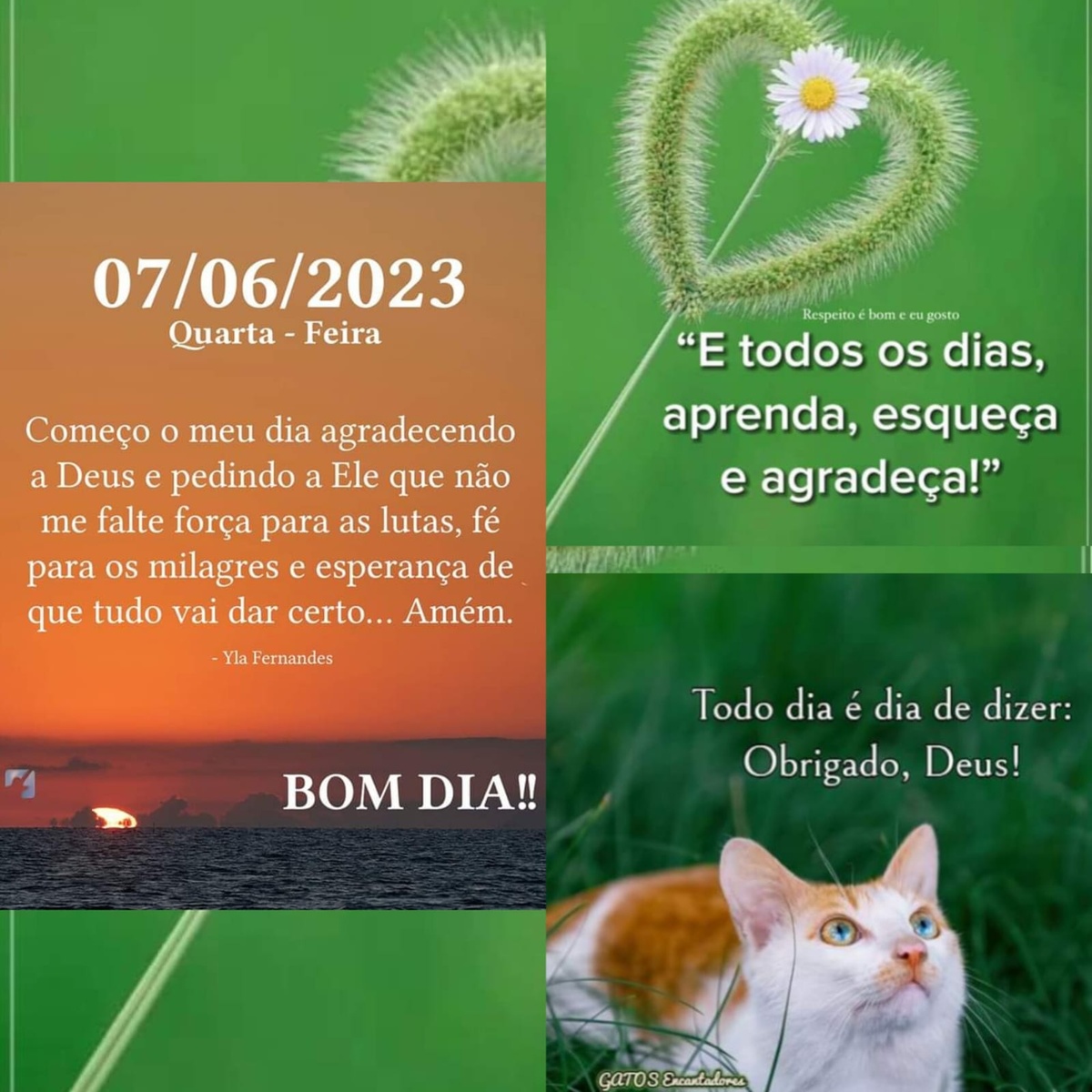 Pensamento do dia