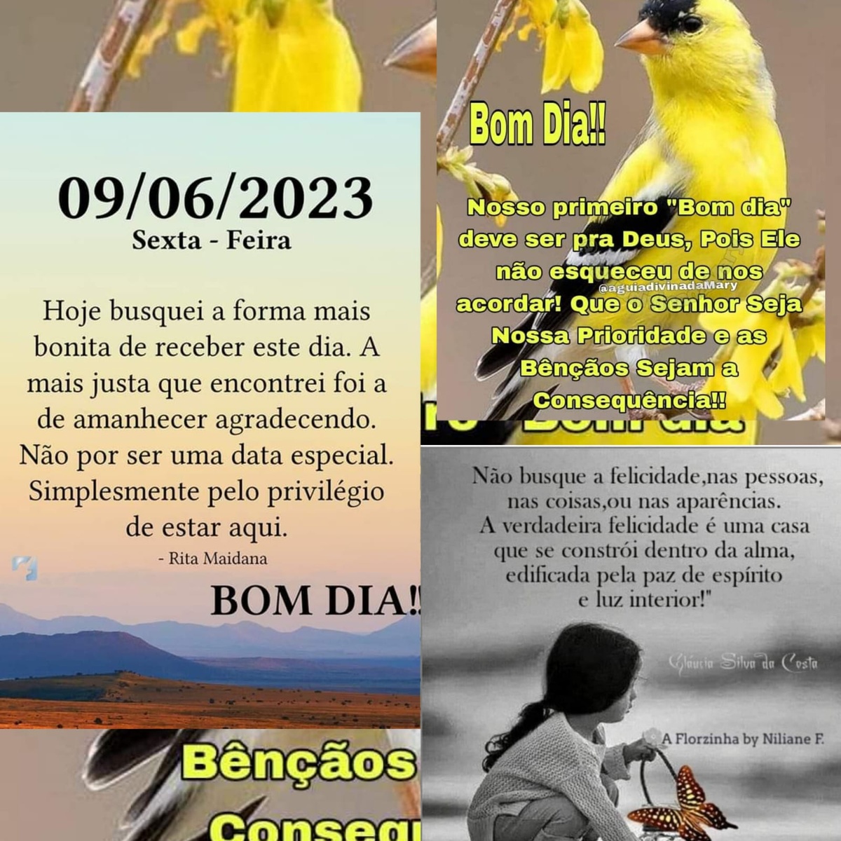 Pensamento do dia