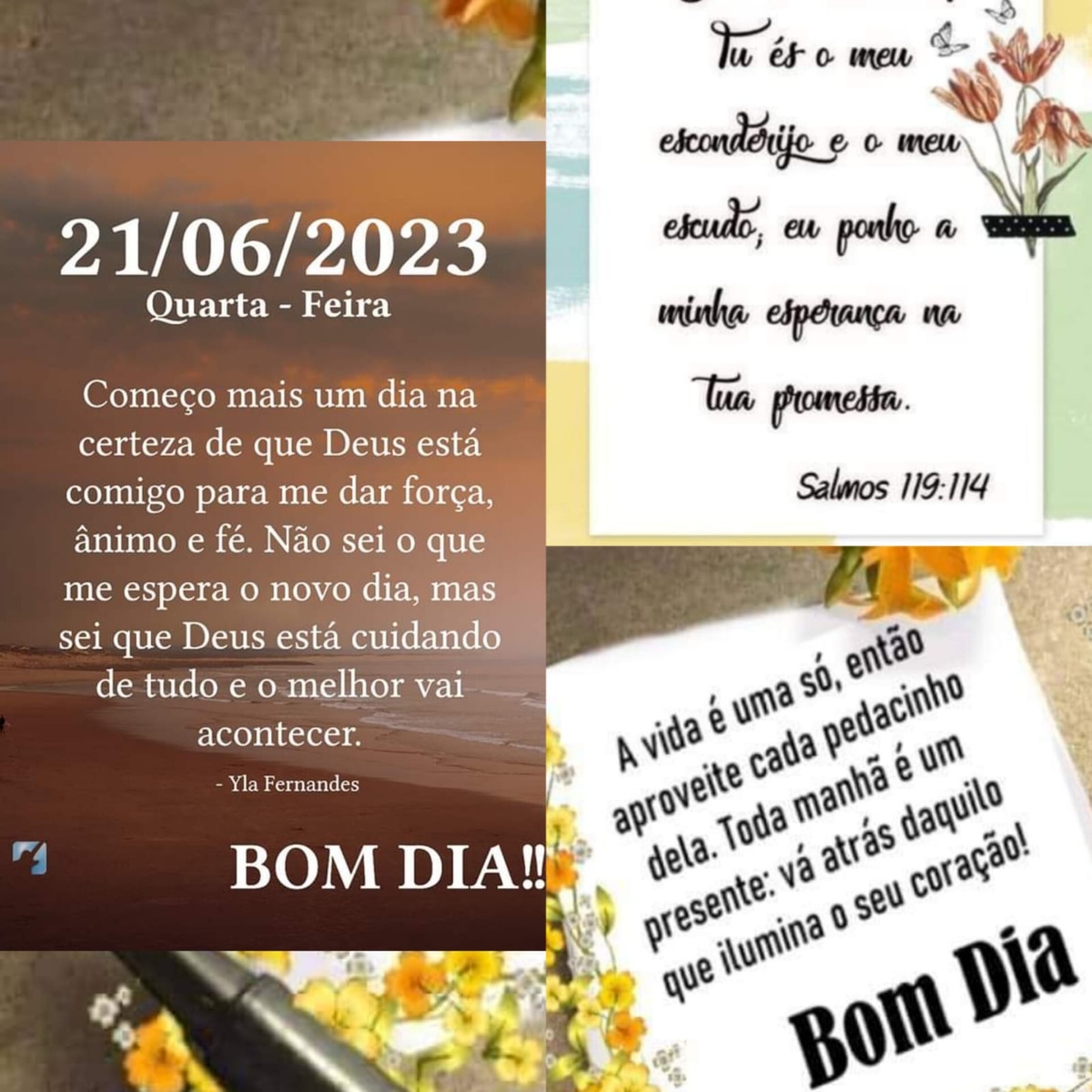 Pensamento do dia