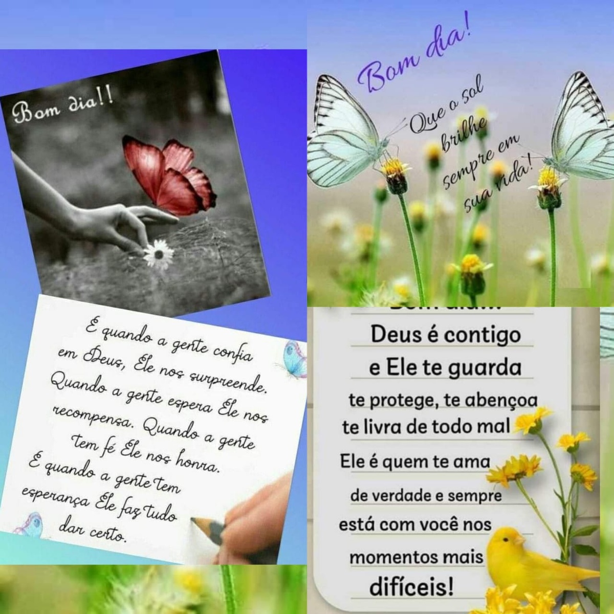 Pensamento do dia