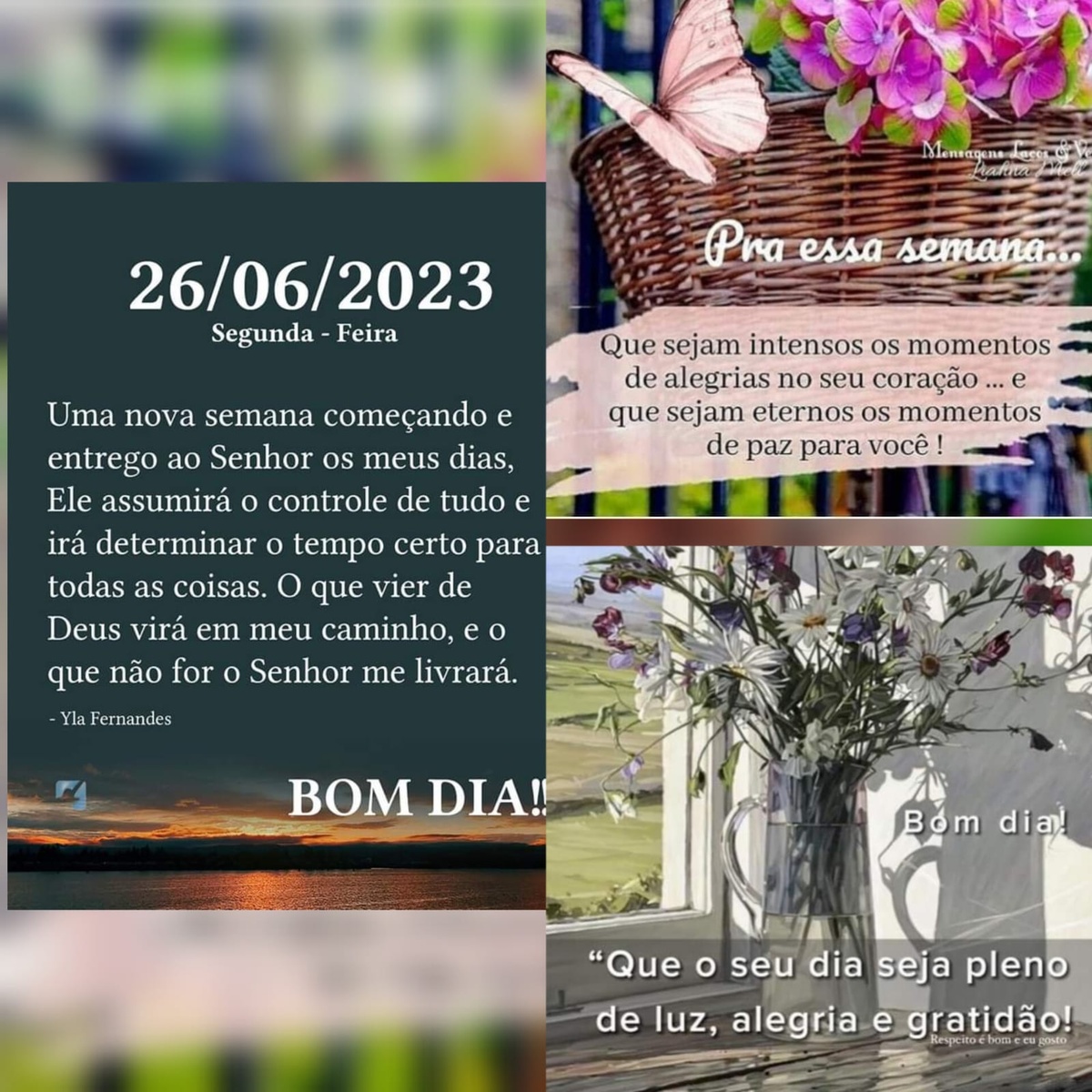 Pensamento do dia