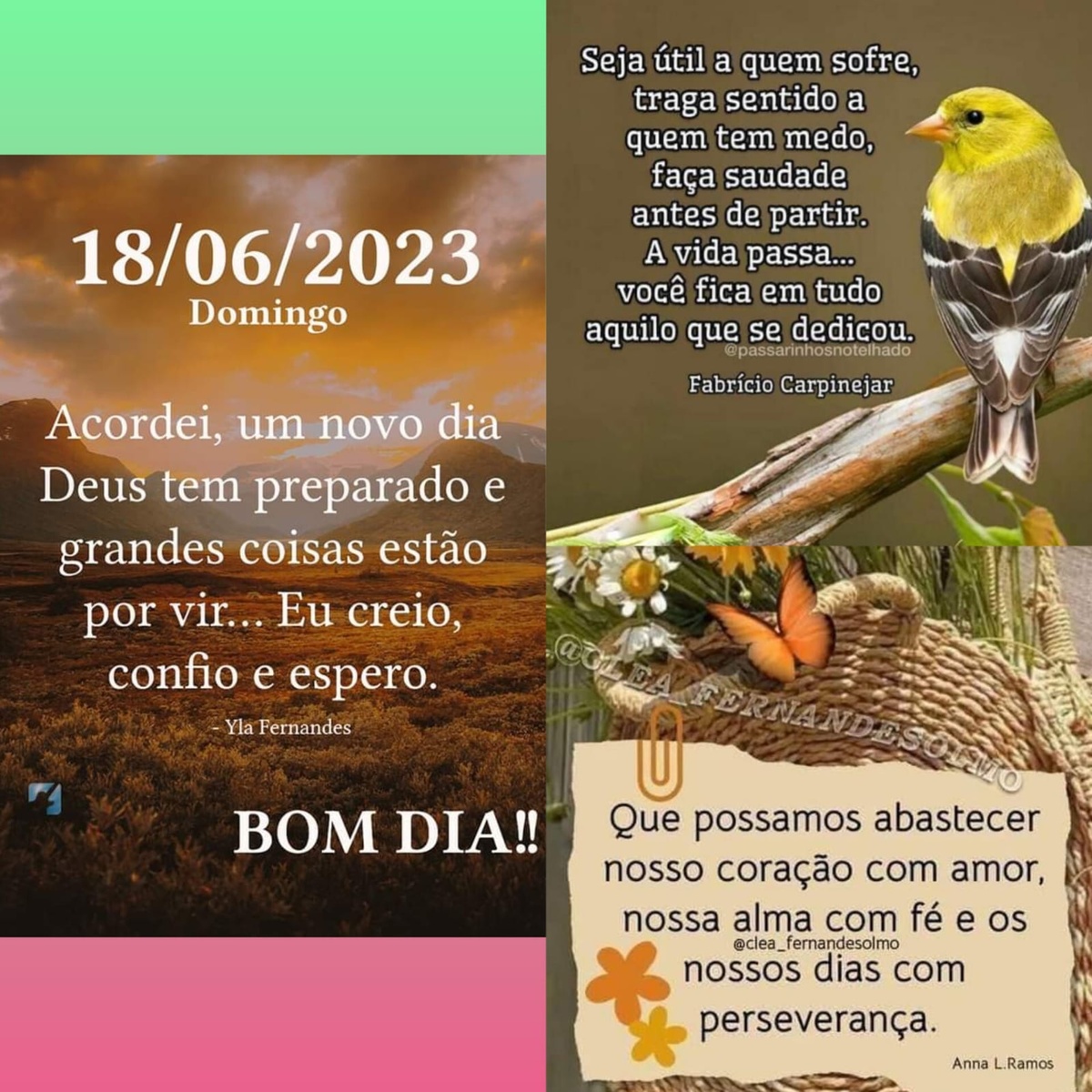 Pensamento do dia