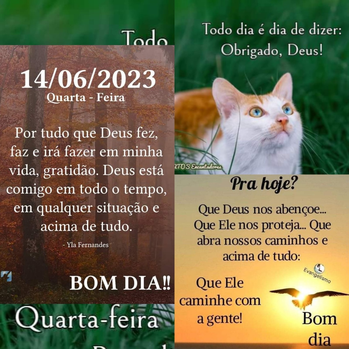 Pensamento do dia