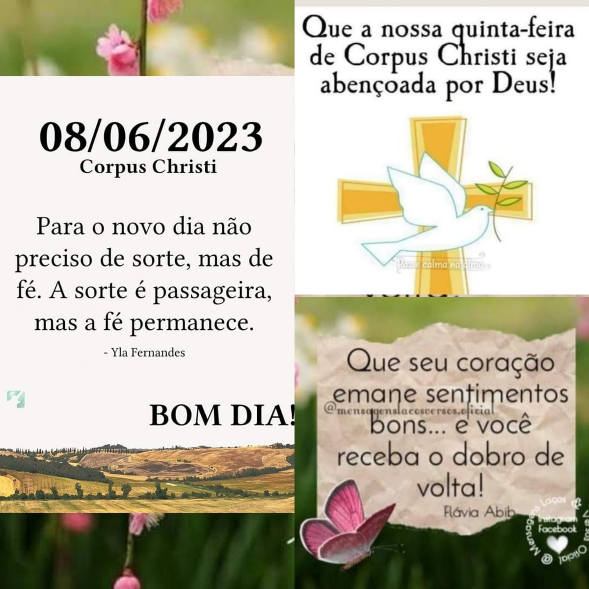 Pensamento do dia
