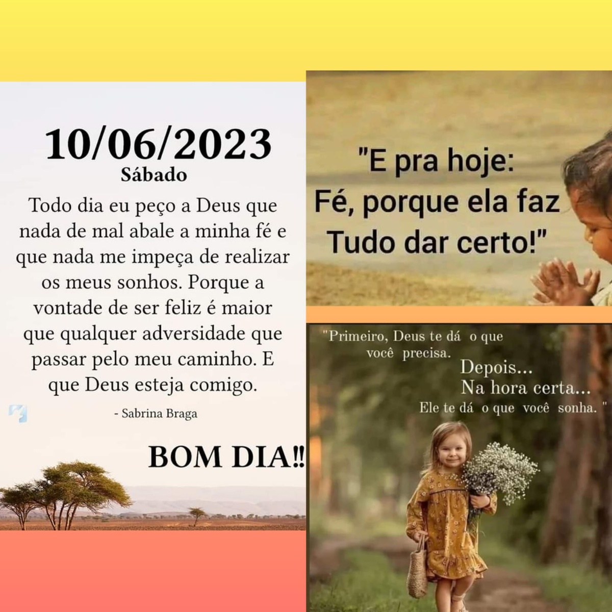 Pensamento do dia