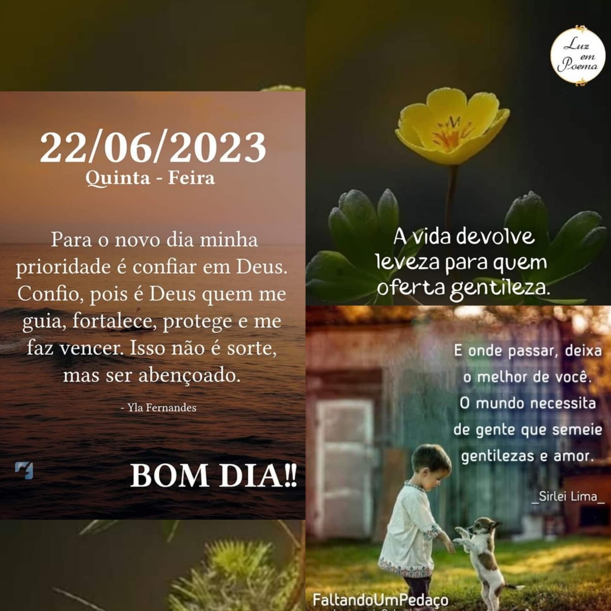 Pensamento do dia