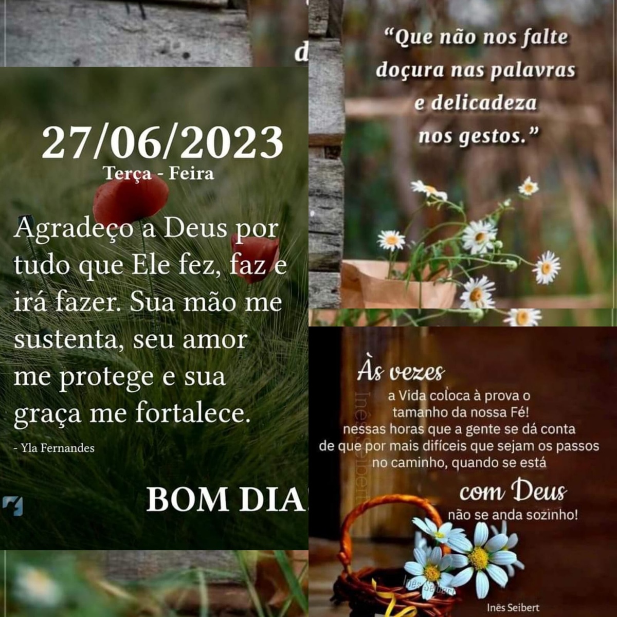 Pensamento do dia