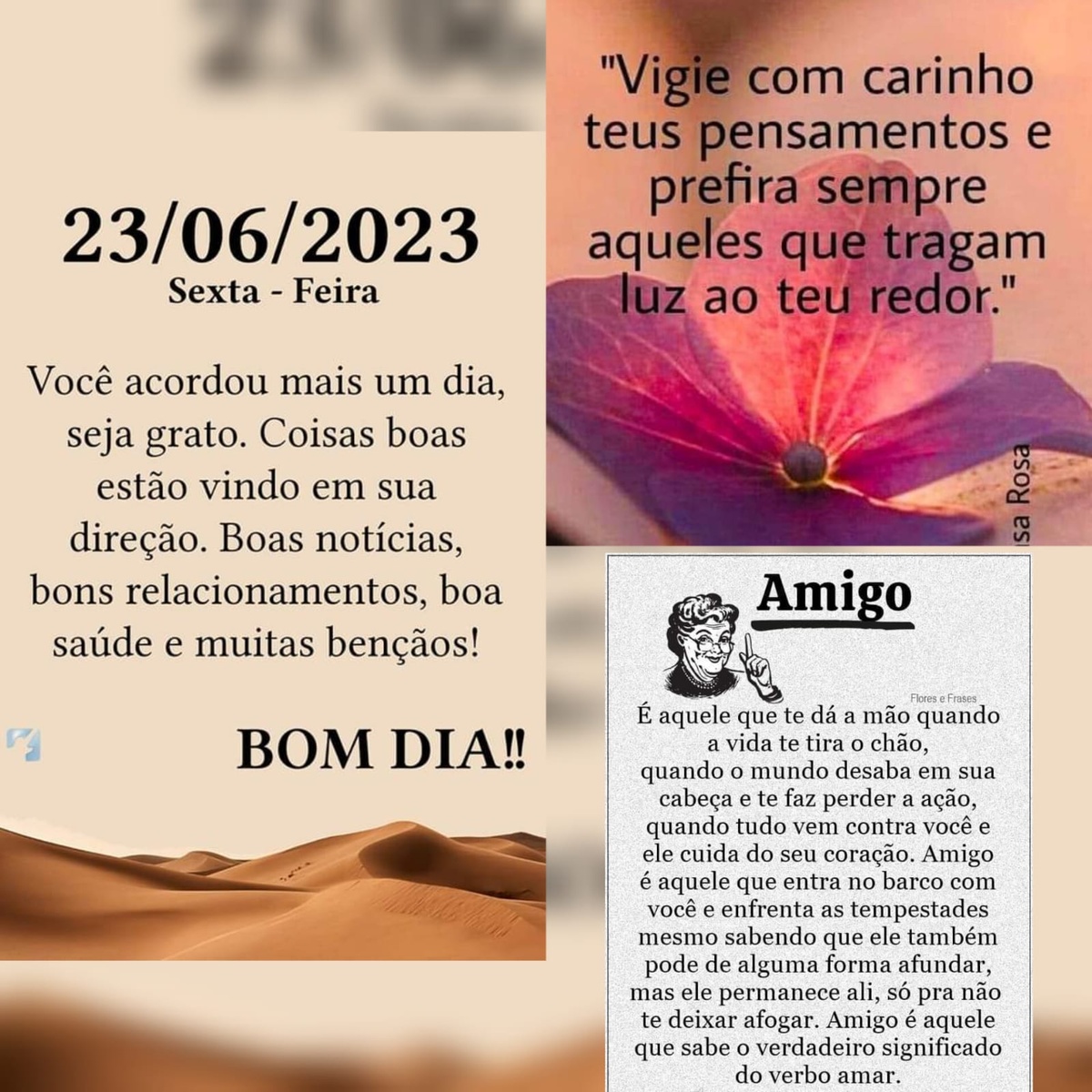 Pensamento do dia
