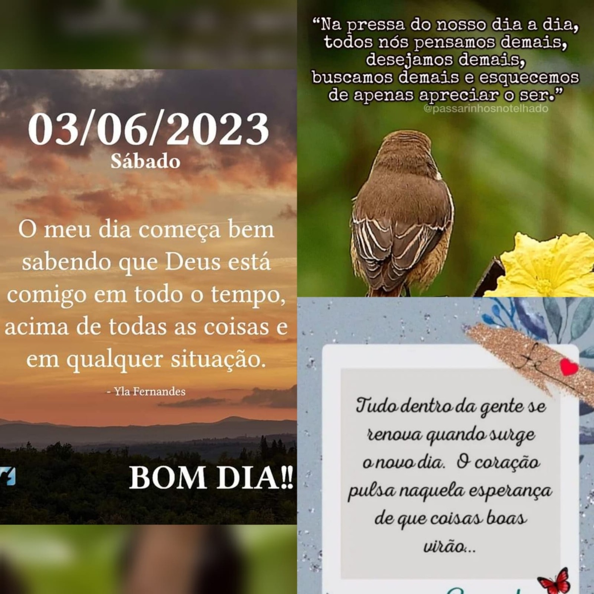 Pensamento do dia