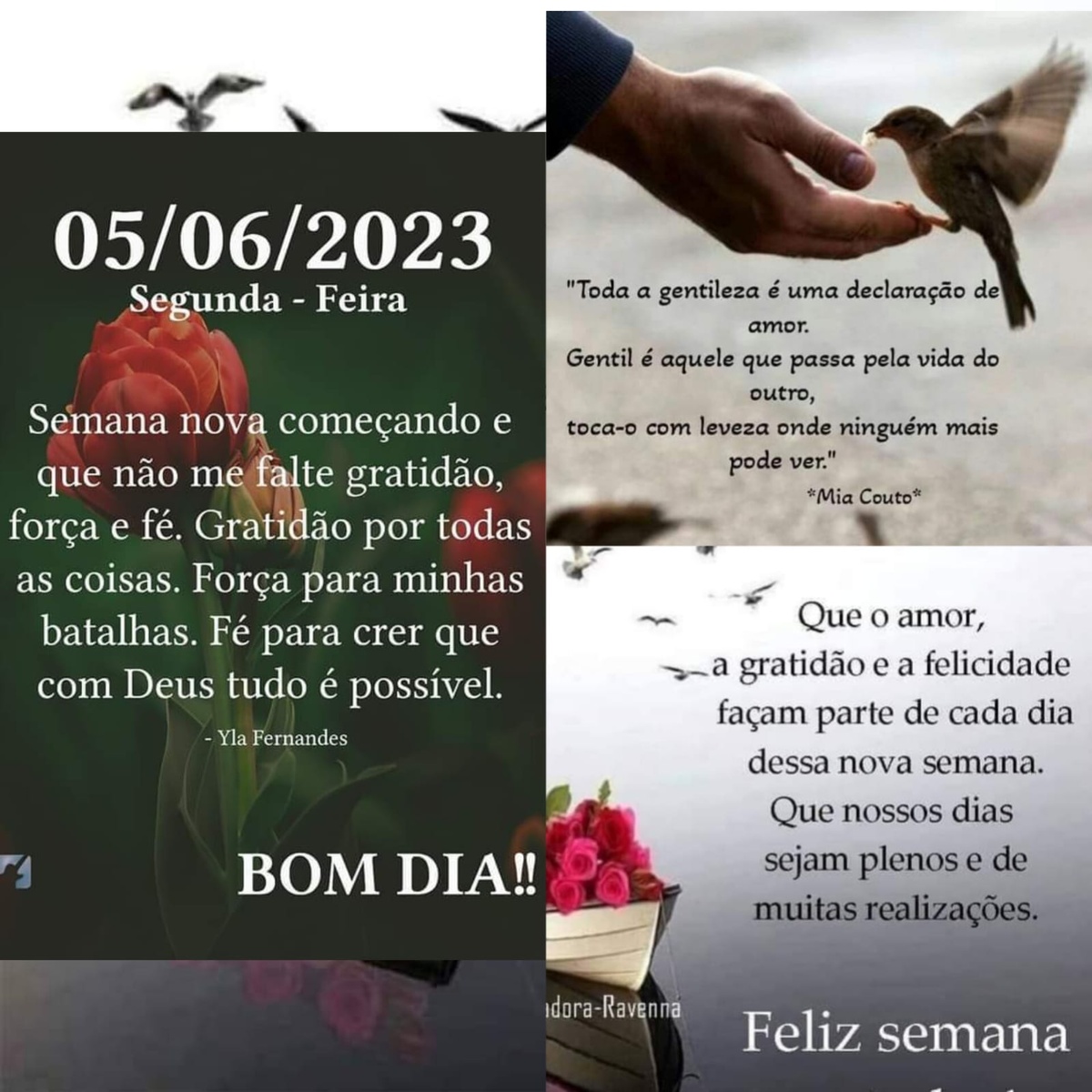 Pensamento do dia