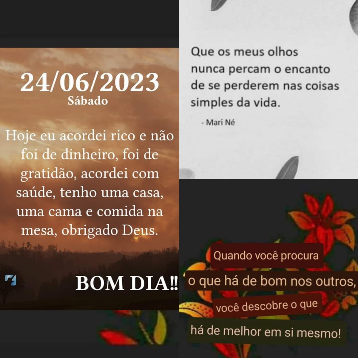Pensamento do dia