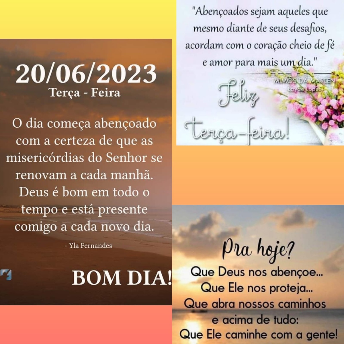 Pensamento do dia