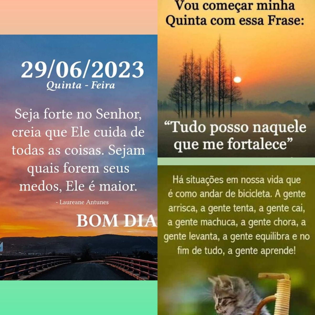 Pensamento do dia