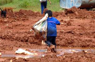 trabalho infantil (Foto: unicef)