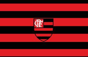 Flamengo (Foto: Reprodução internet)
