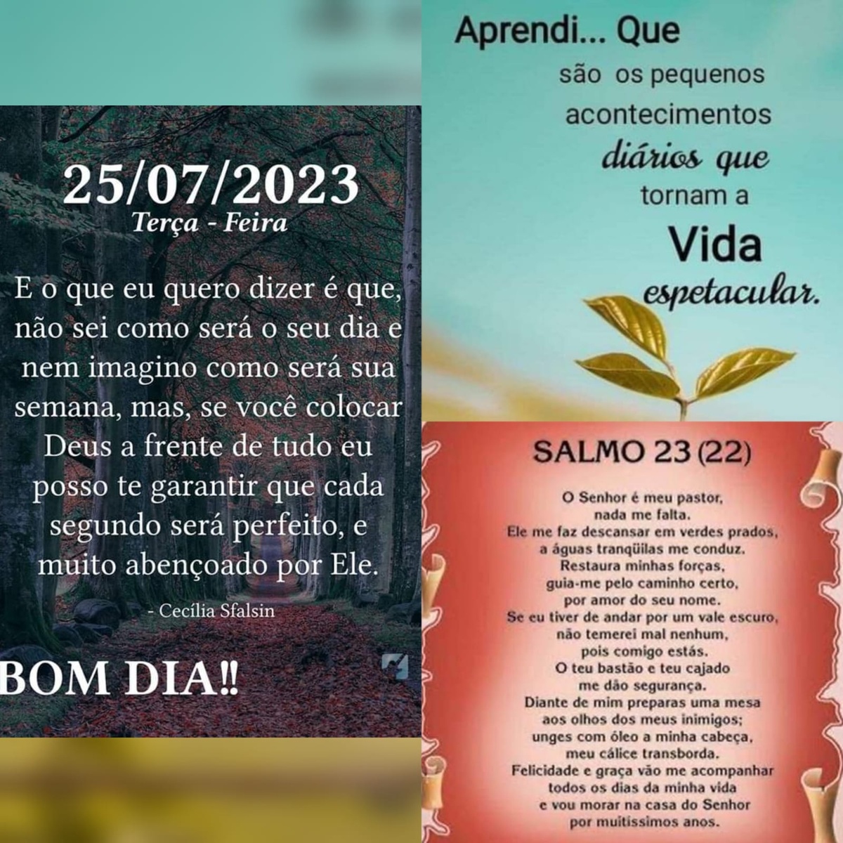 Pensamento do dia