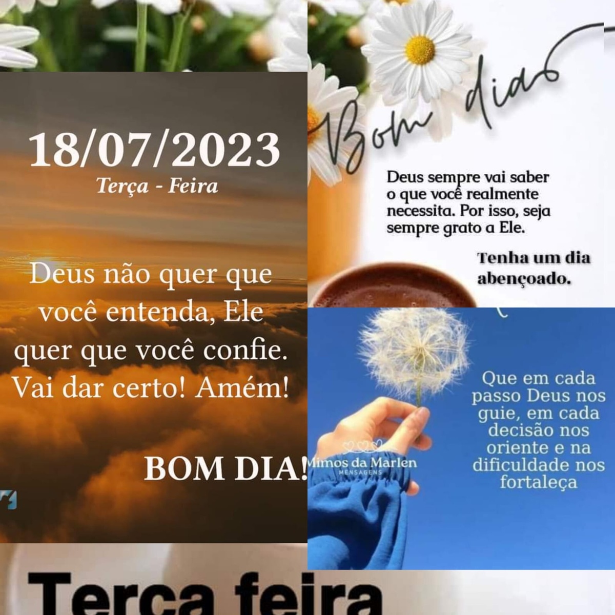 Pensamento do dia