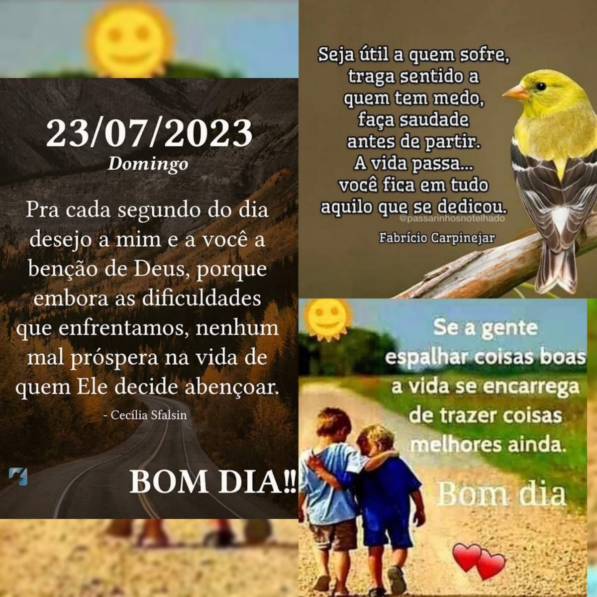 Pensamento do dia