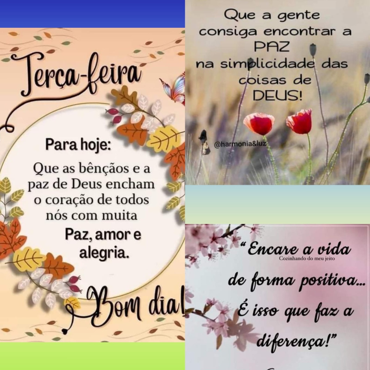 Pensamento do dia