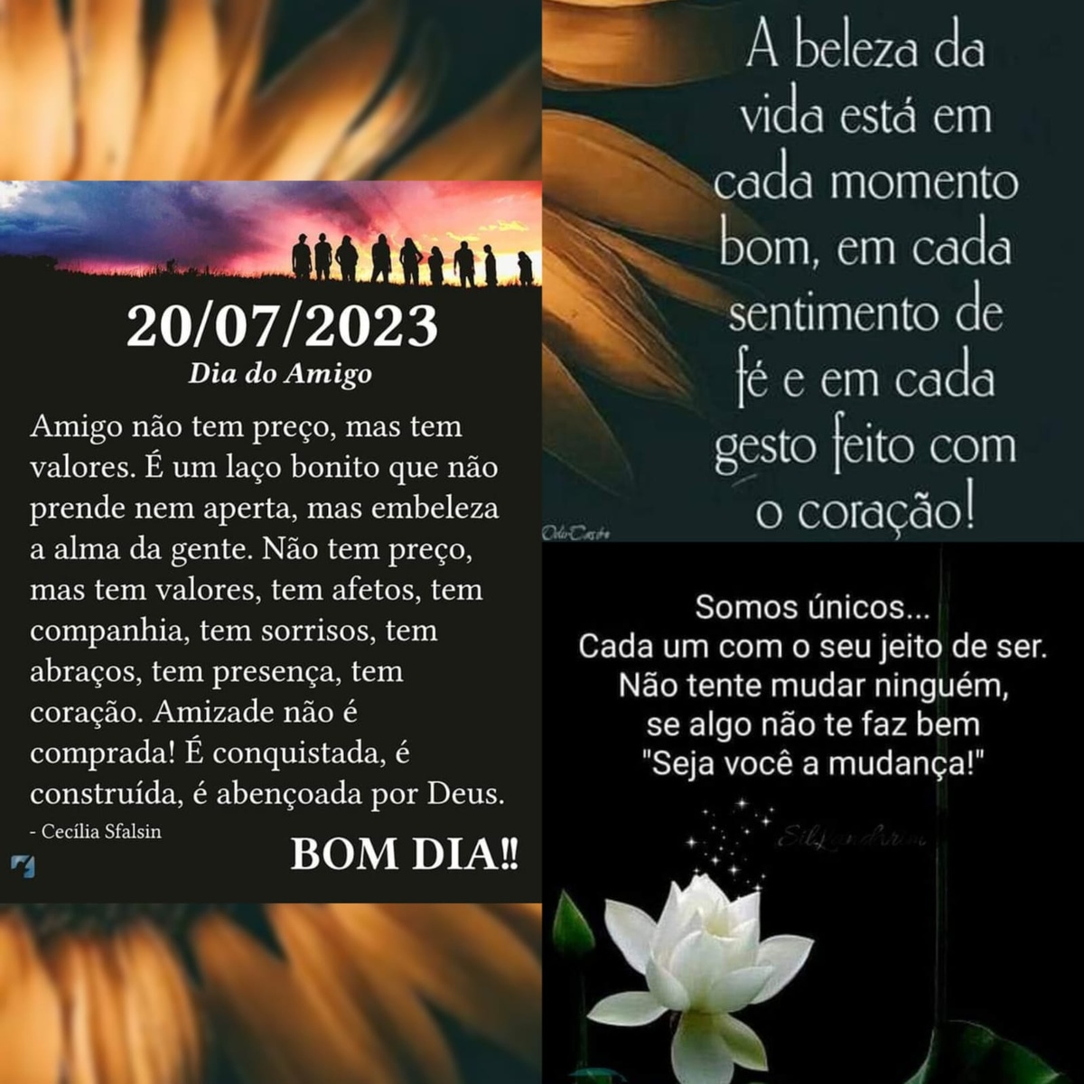 Pensamento do dia