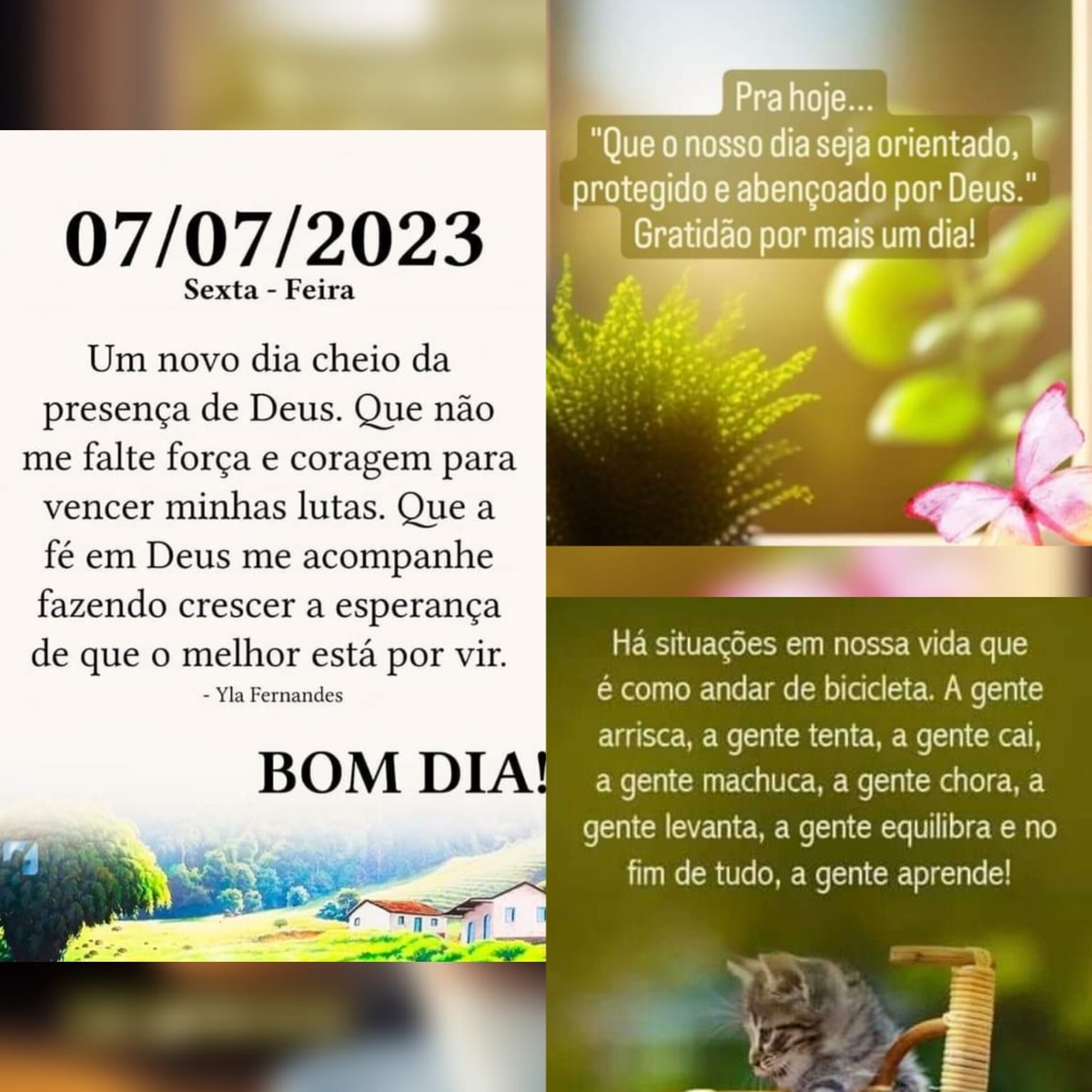 Pensamento do dia