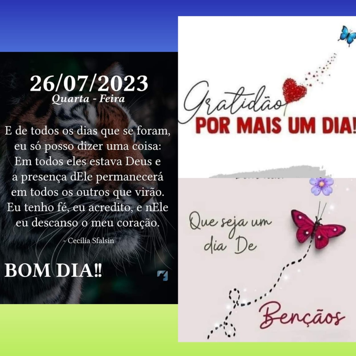 Pensamento do dia