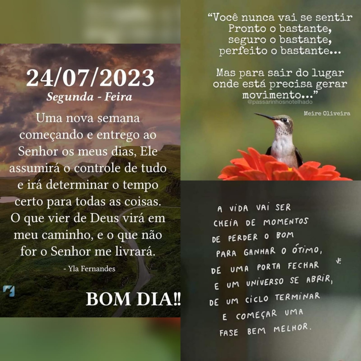 Pensamento do dia