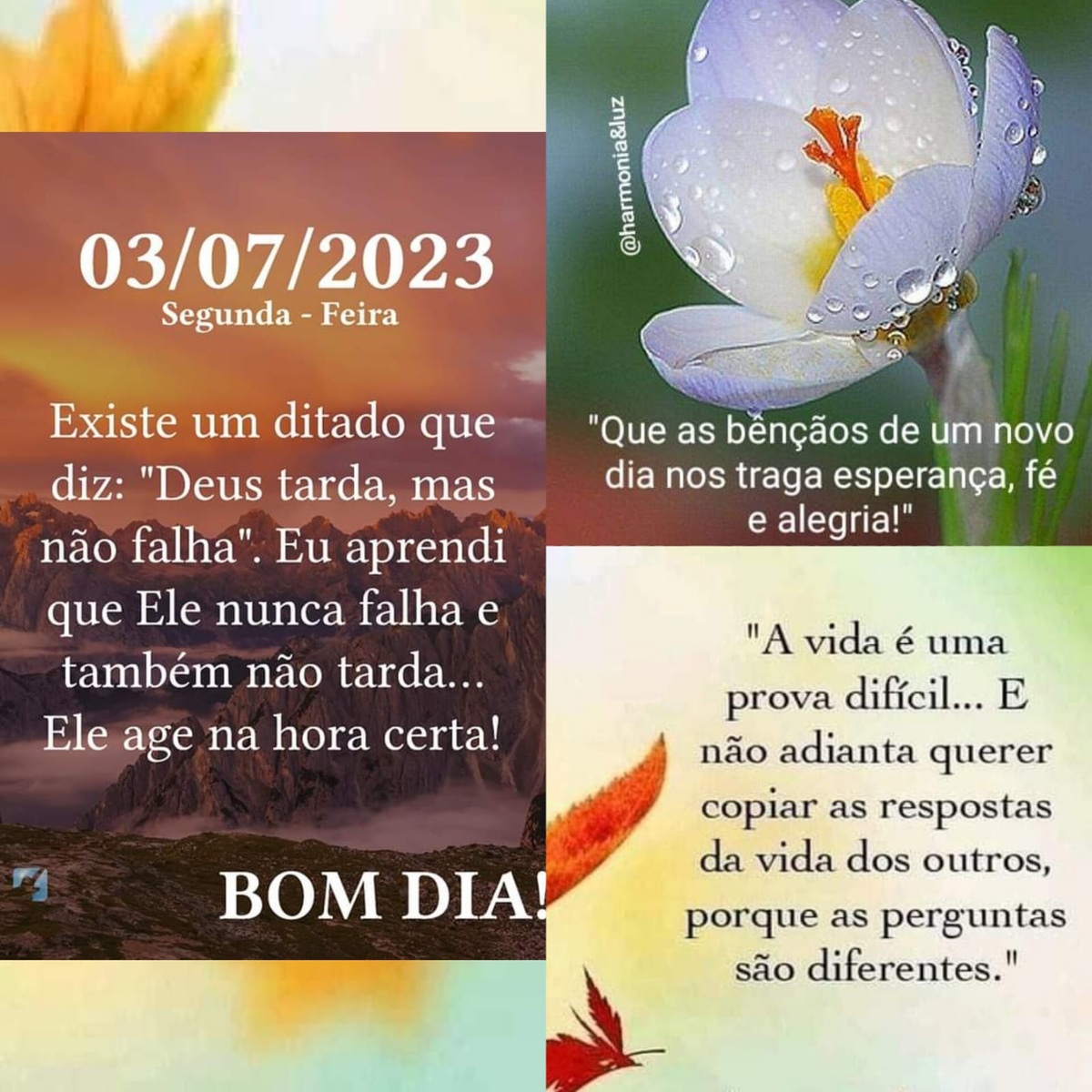 Pensamento do dia