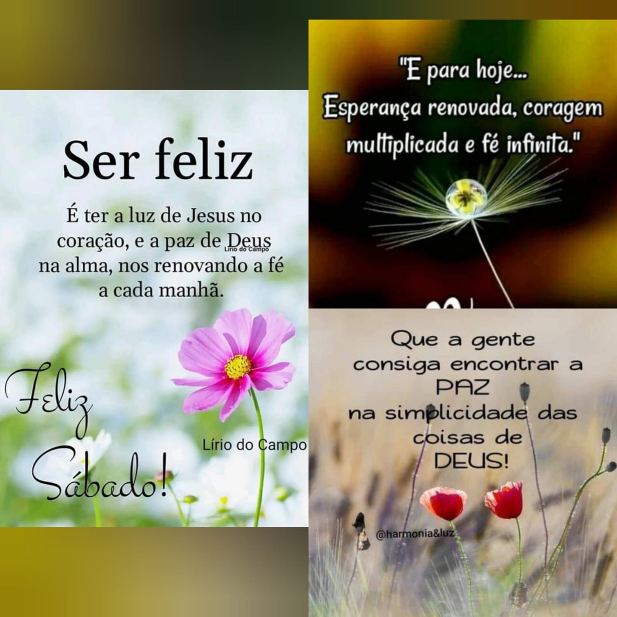Pensamento do dia
