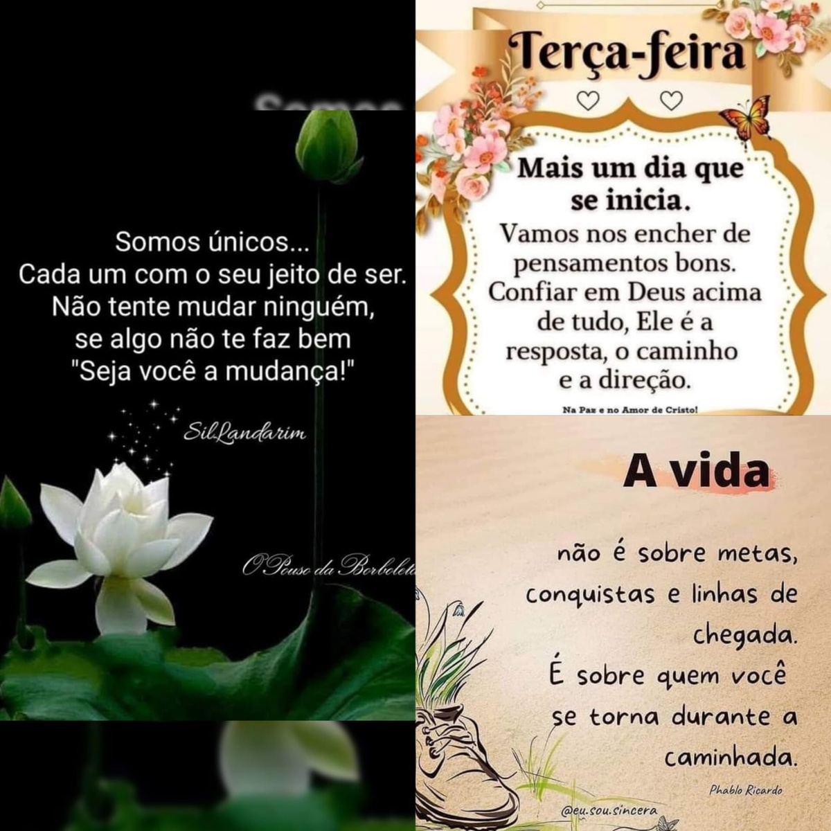 Pensamento do dia