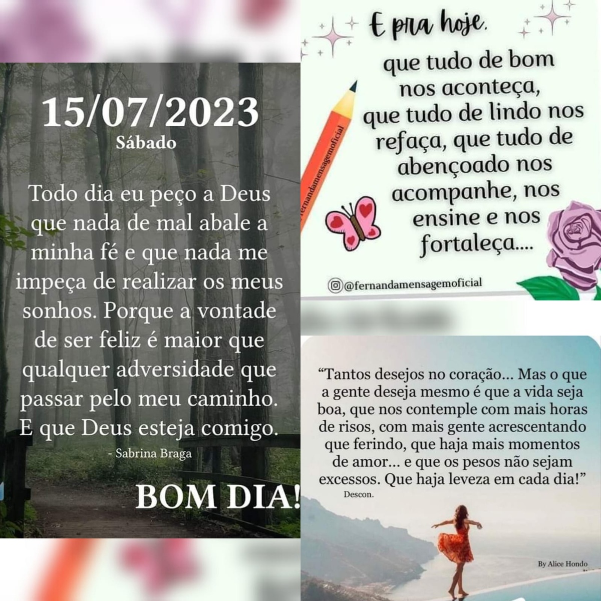Pensamento do dia
