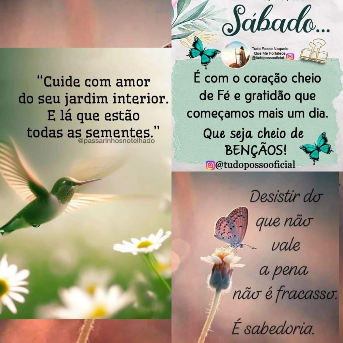 Pensamento do dia