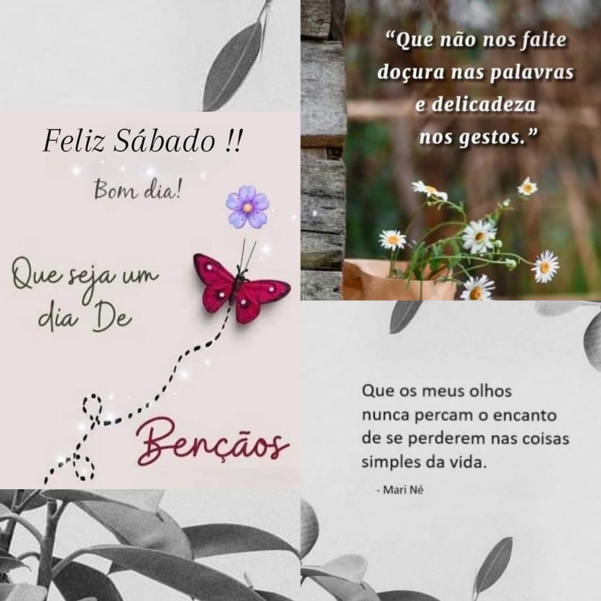 Pensamento do dia