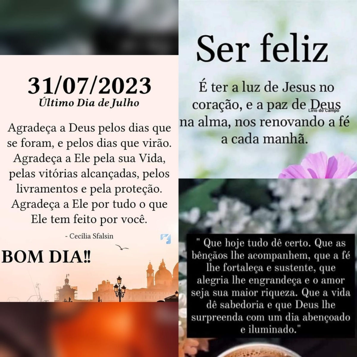 Pensamento do dia