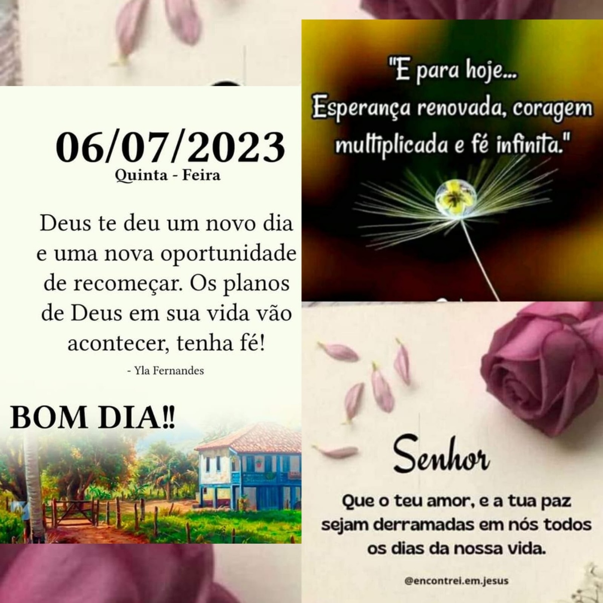 Pensamento do dia