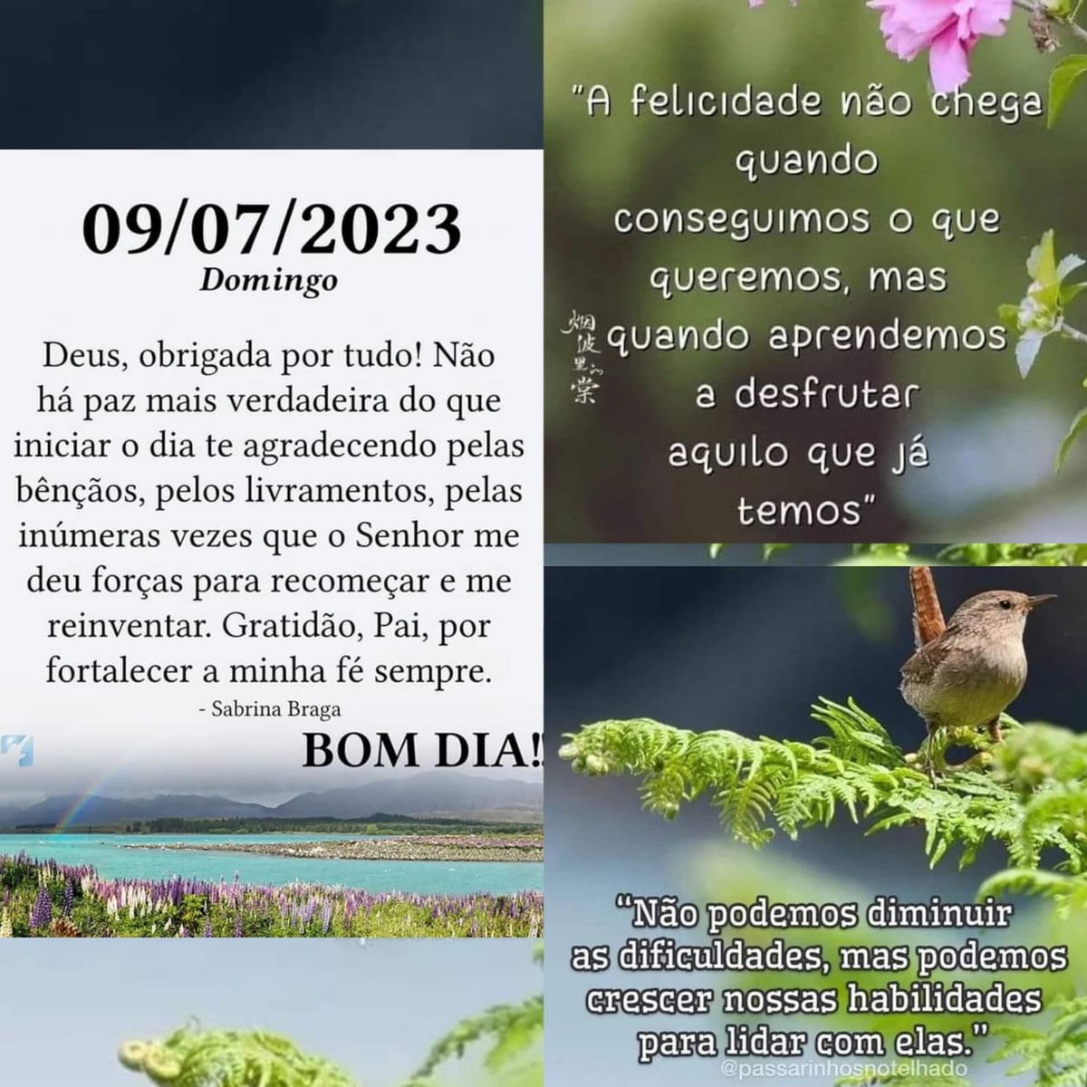 Pensamento do dia