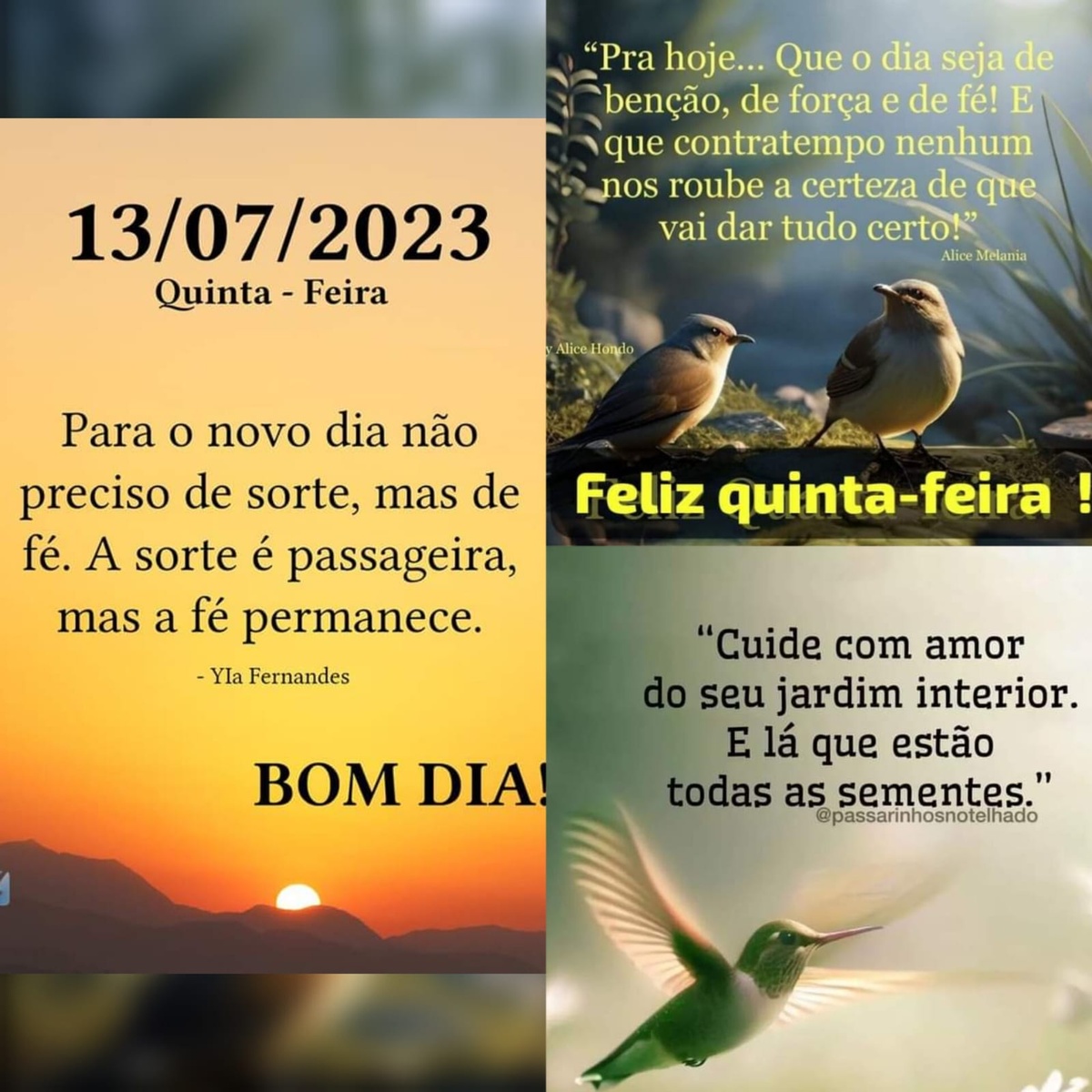 Pensamento do dia