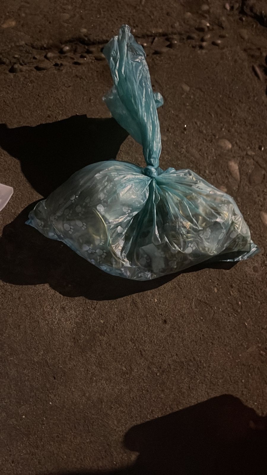 Parte do material roubado da joalheria
