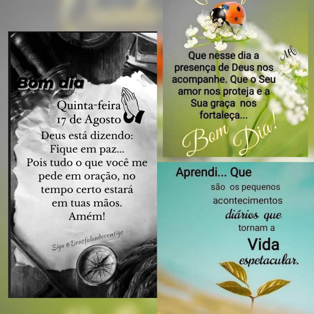 Pensamento do dia