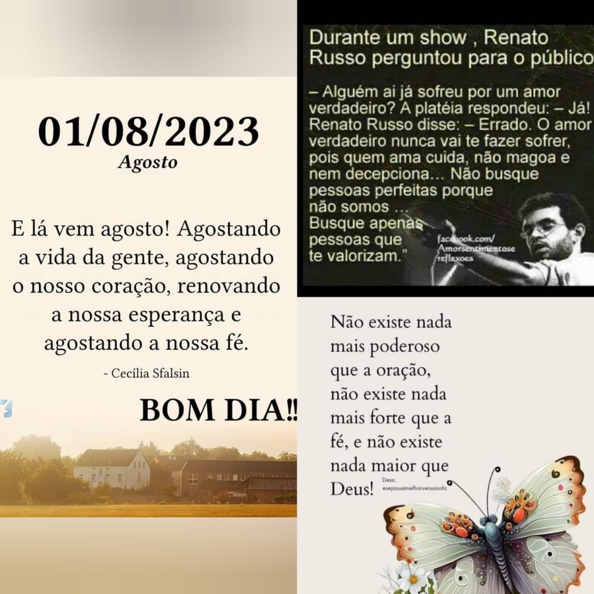 Pensamento do dia