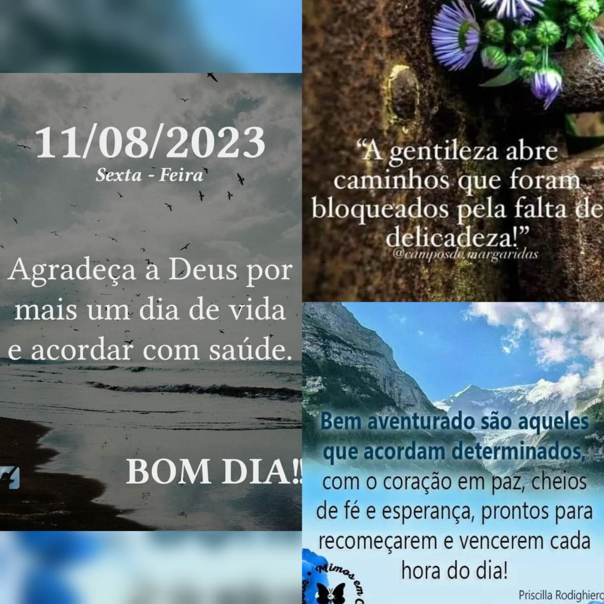 Pensamento do dia