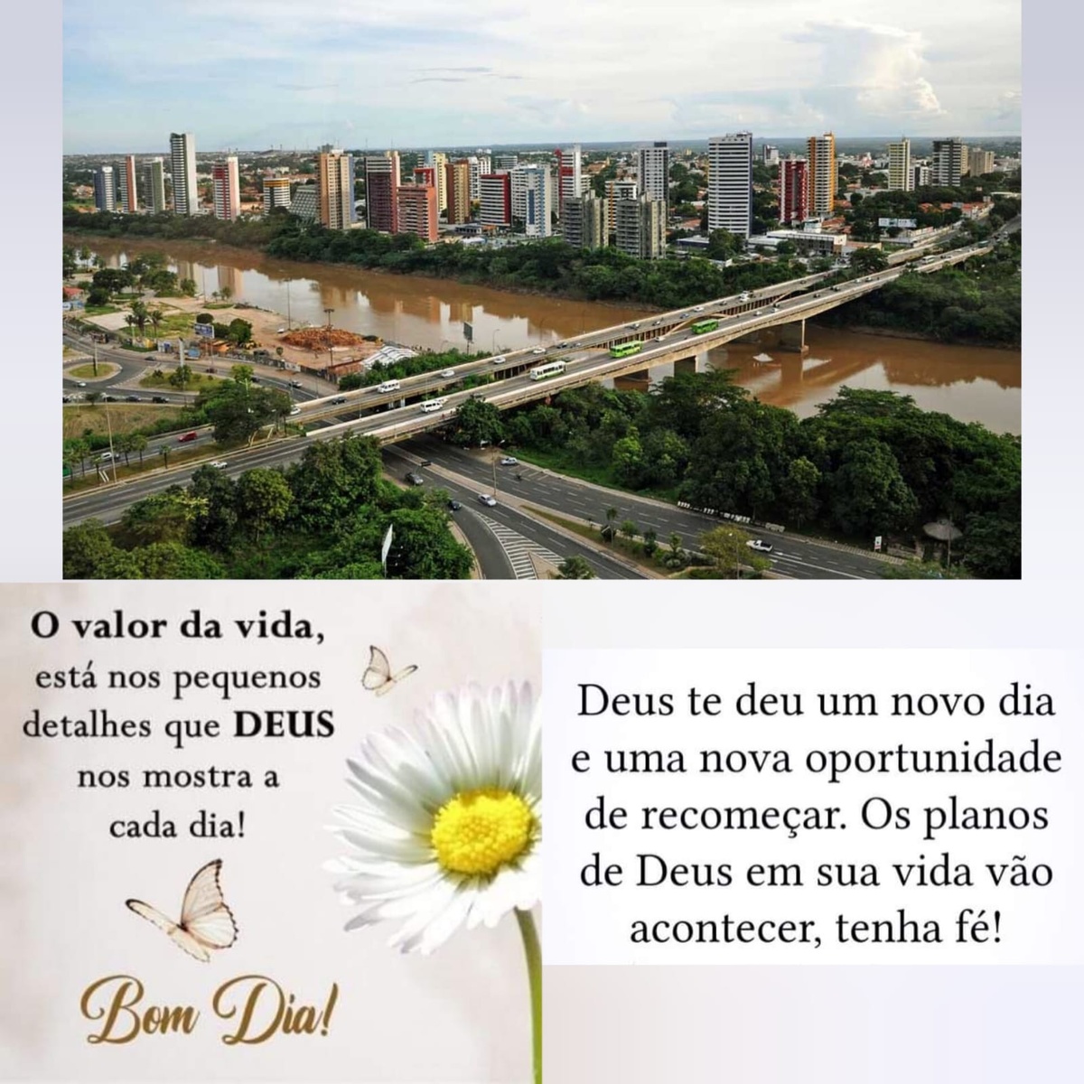 Pensamento do dia