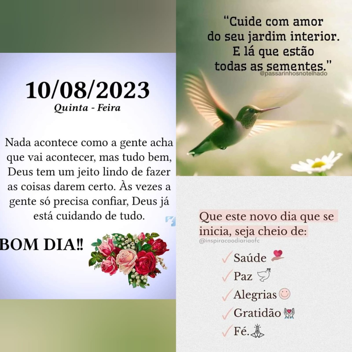 Pensamento do dia