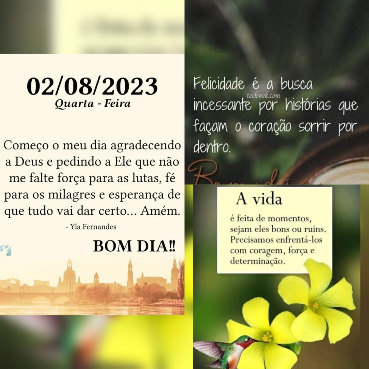 Pensamento do dia
