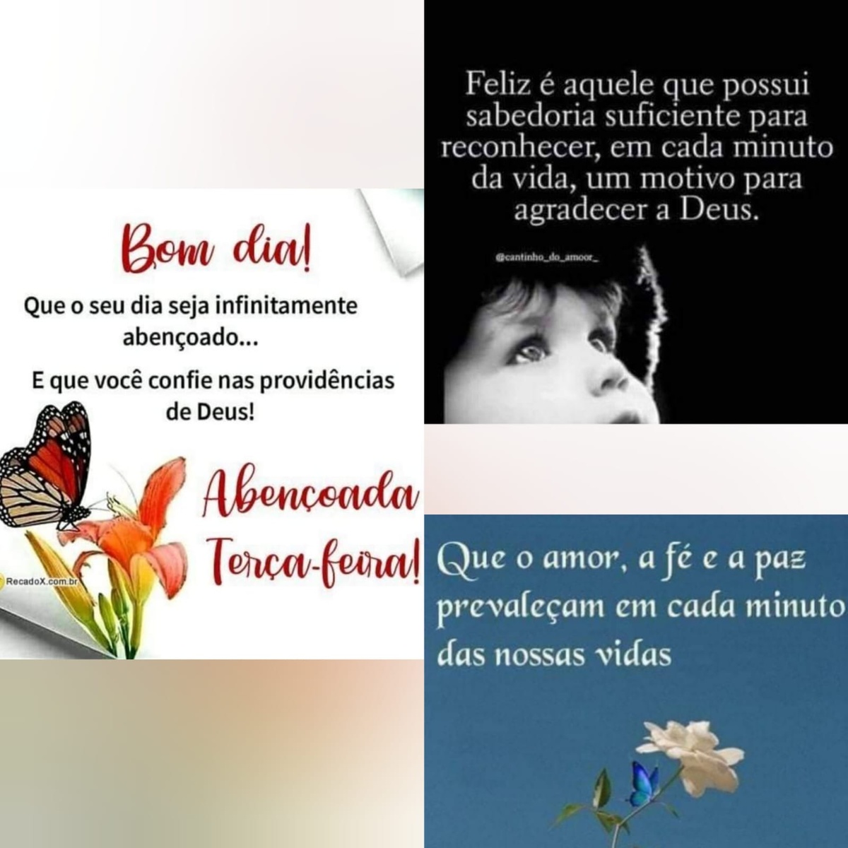 Pensamento do dia