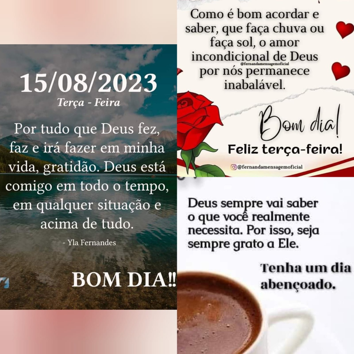 Pensamento do dia