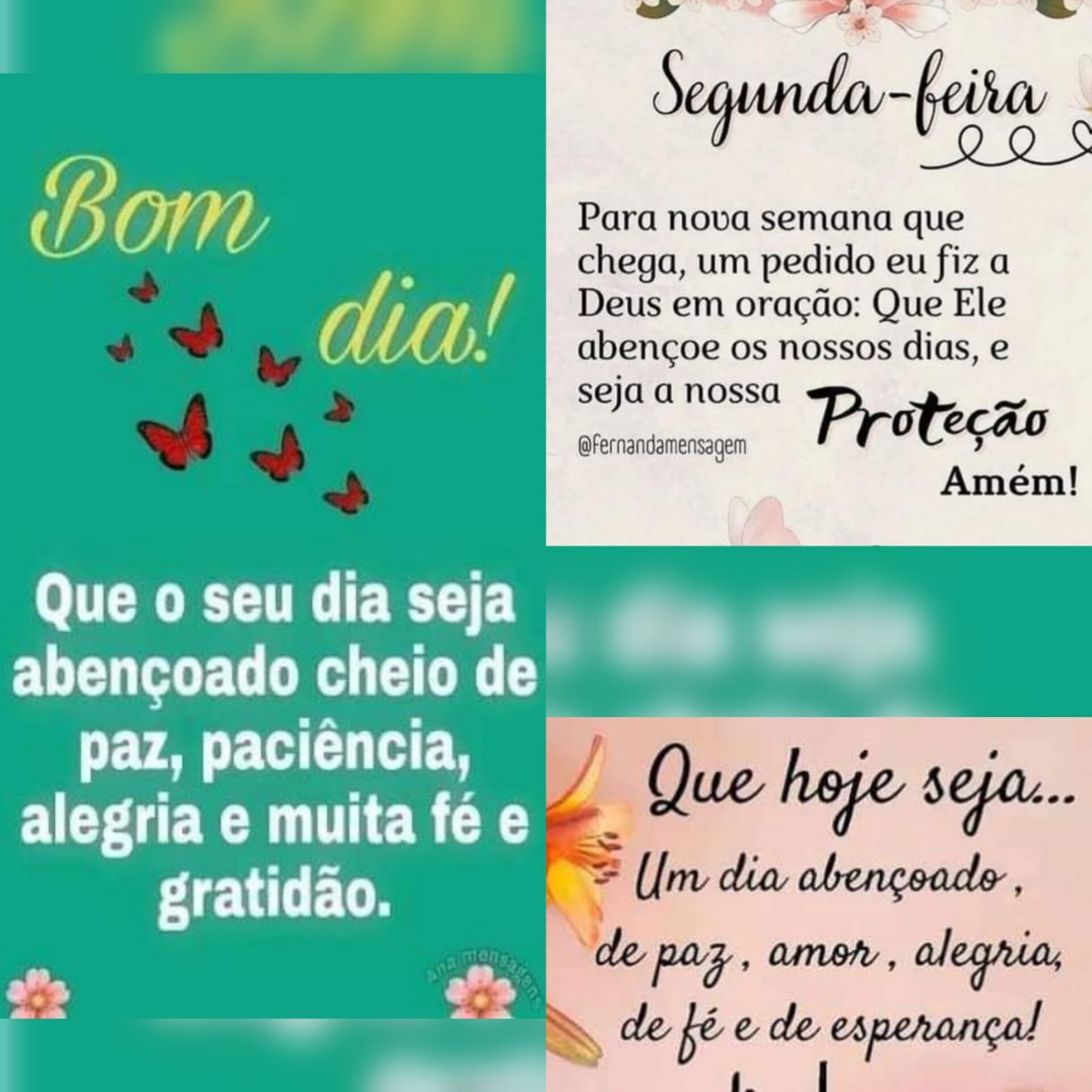 Pensamento do dia