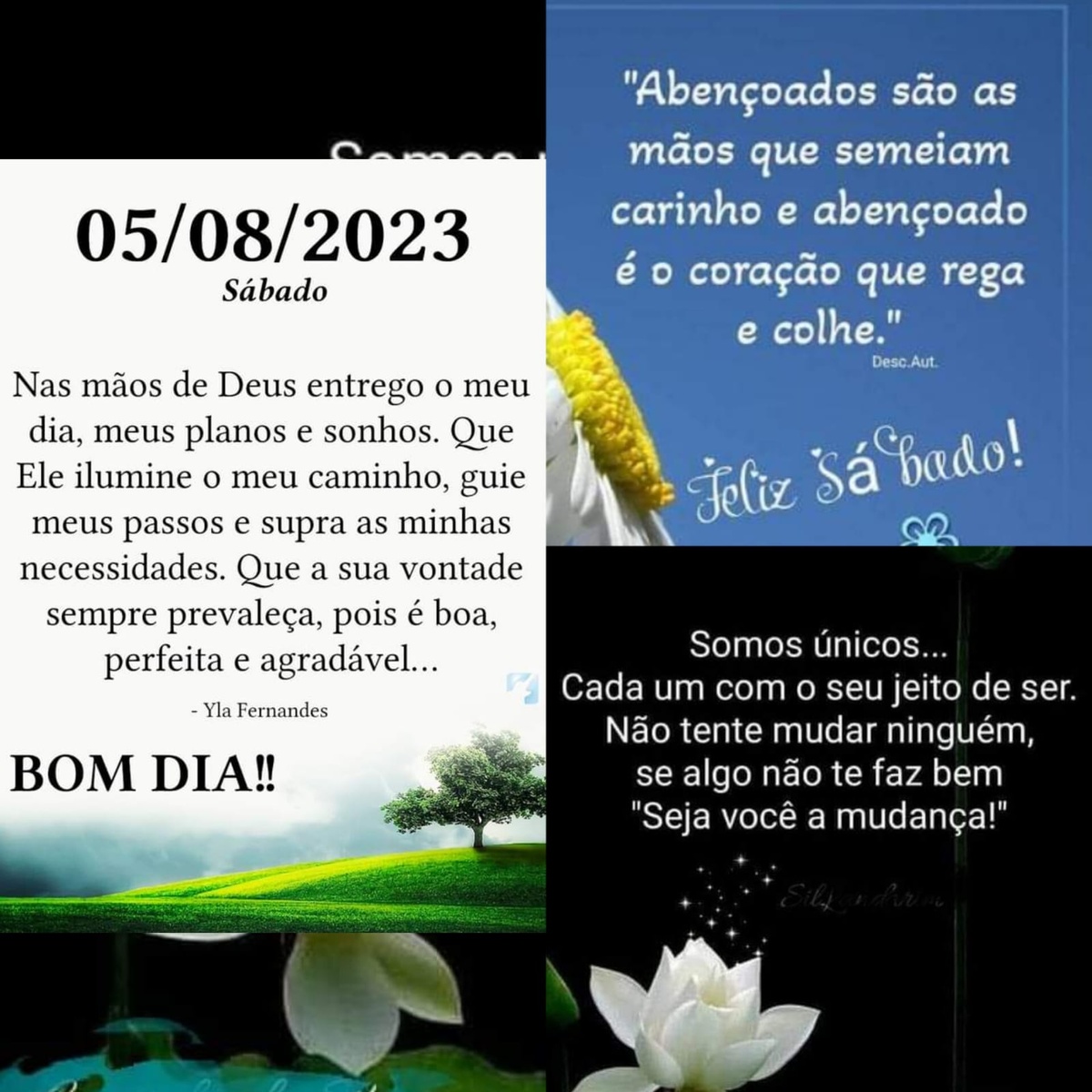 Pensamento do dia