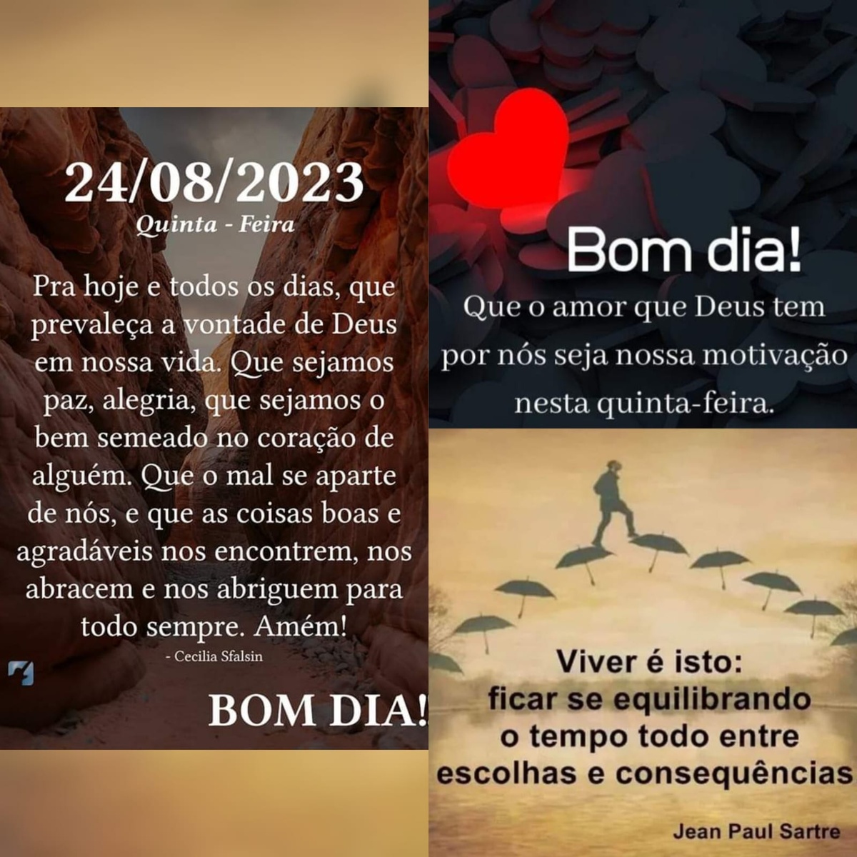 Pensamento do dia