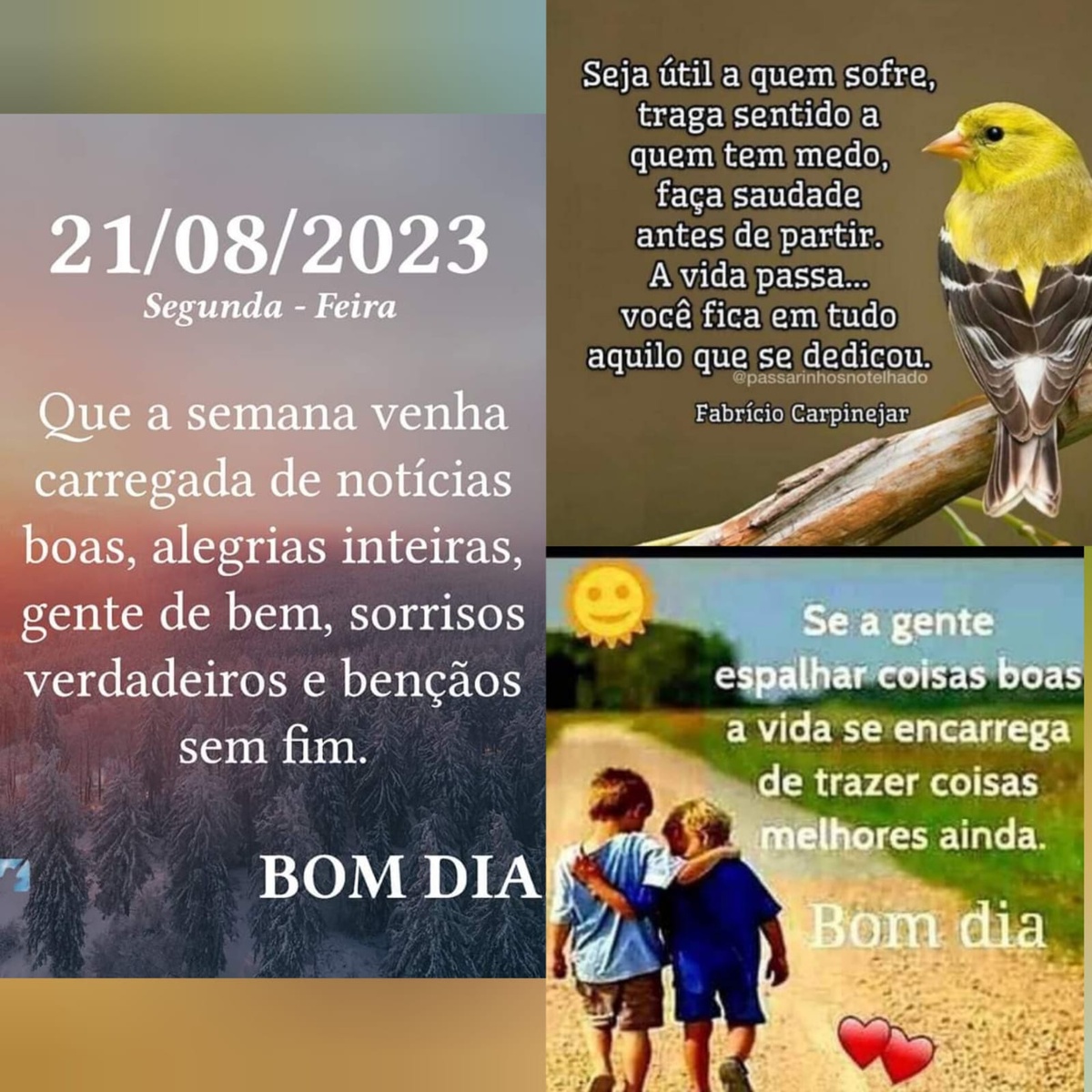 Pensamento do dia